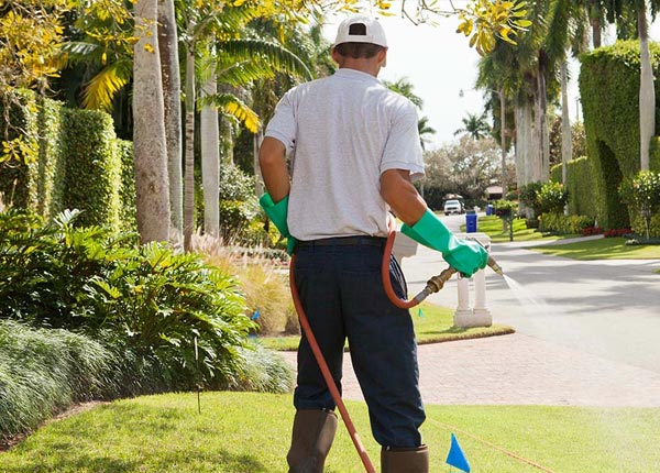 About Lutz FL Pest Control